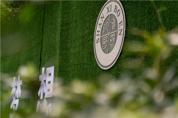 博恩藝考?jí)粝胱呃? border=