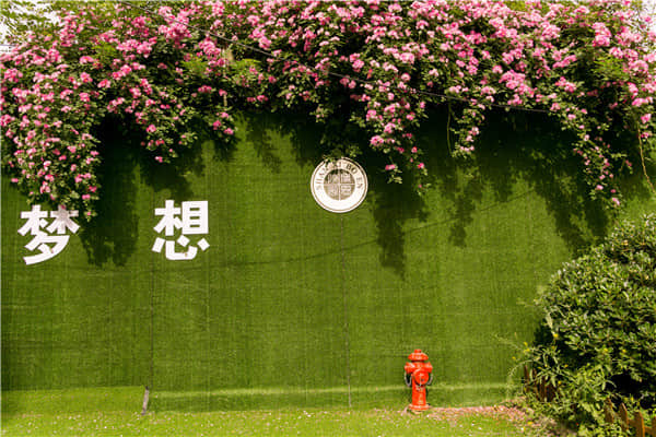 博恩藝考?jí)粝胱呃? border=