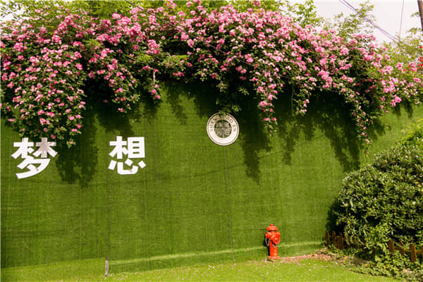 博恩藝考?jí)粝胱呃? border=