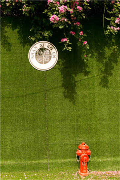 博恩藝考?jí)粝胱呃? border=