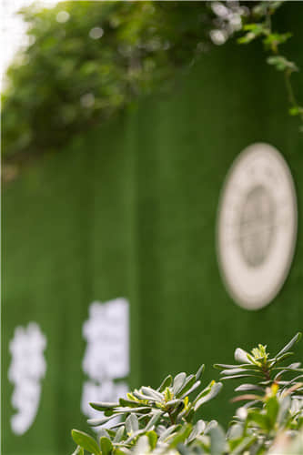 博恩藝考?jí)粝胱呃? border=