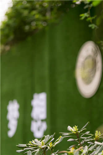 博恩藝考?jí)粝胱呃? border=