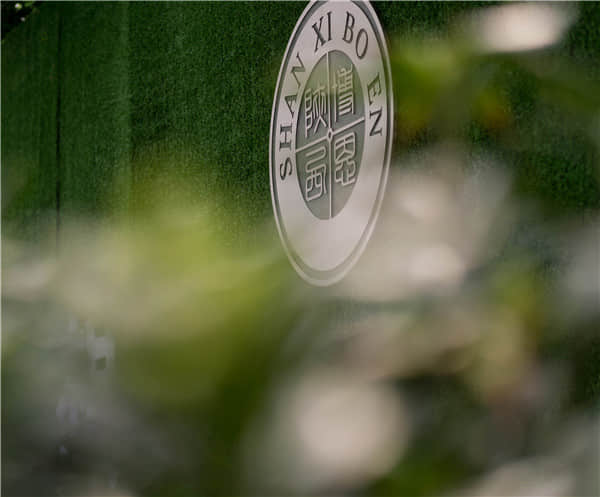 博恩藝考?jí)粝胱呃? border=