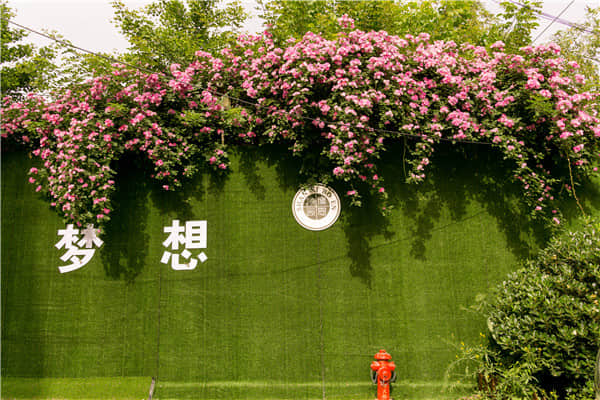 博恩藝考?jí)粝胱呃? border=