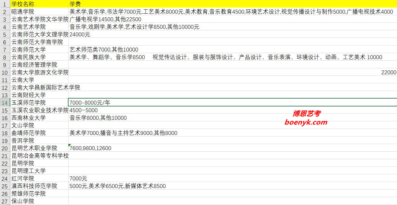 云南省開設(shè)藝術(shù)類專業(yè)院校大全