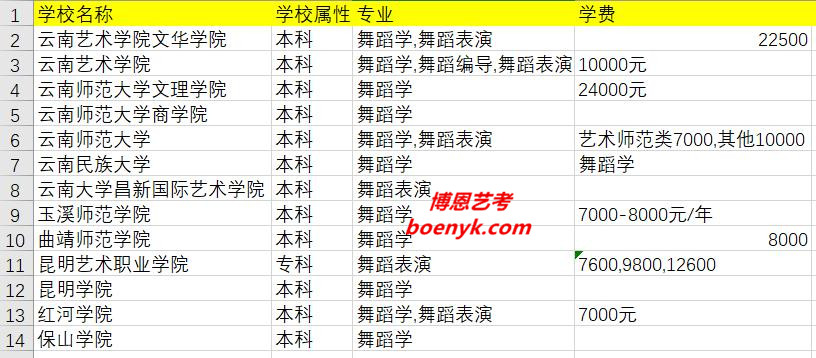 云南省開設(shè)舞蹈類專業(yè)院校大全
