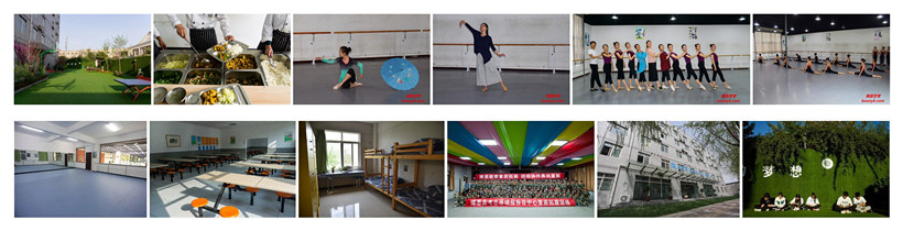 西安高考舞蹈藝考培訓(xùn)機(jī)構(gòu)/集訓(xùn)學(xué)校/班/中心