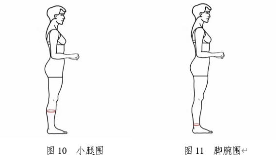 形體數據測量方法與要求