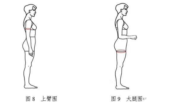 形體數據測量方法與要求